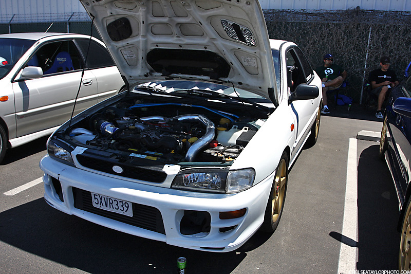 IMG_1250 copy