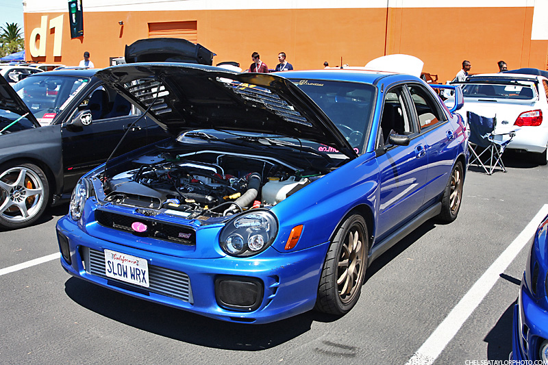 IMG_1290 copy
