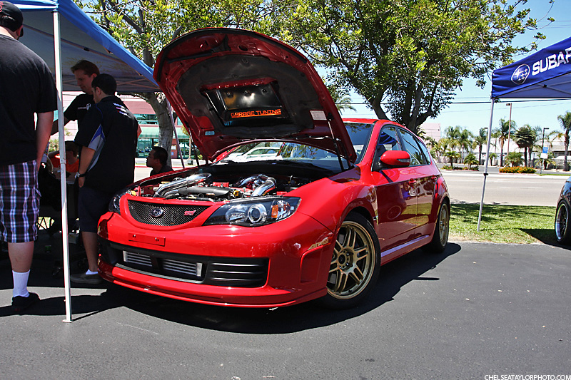 IMG_1317 copy